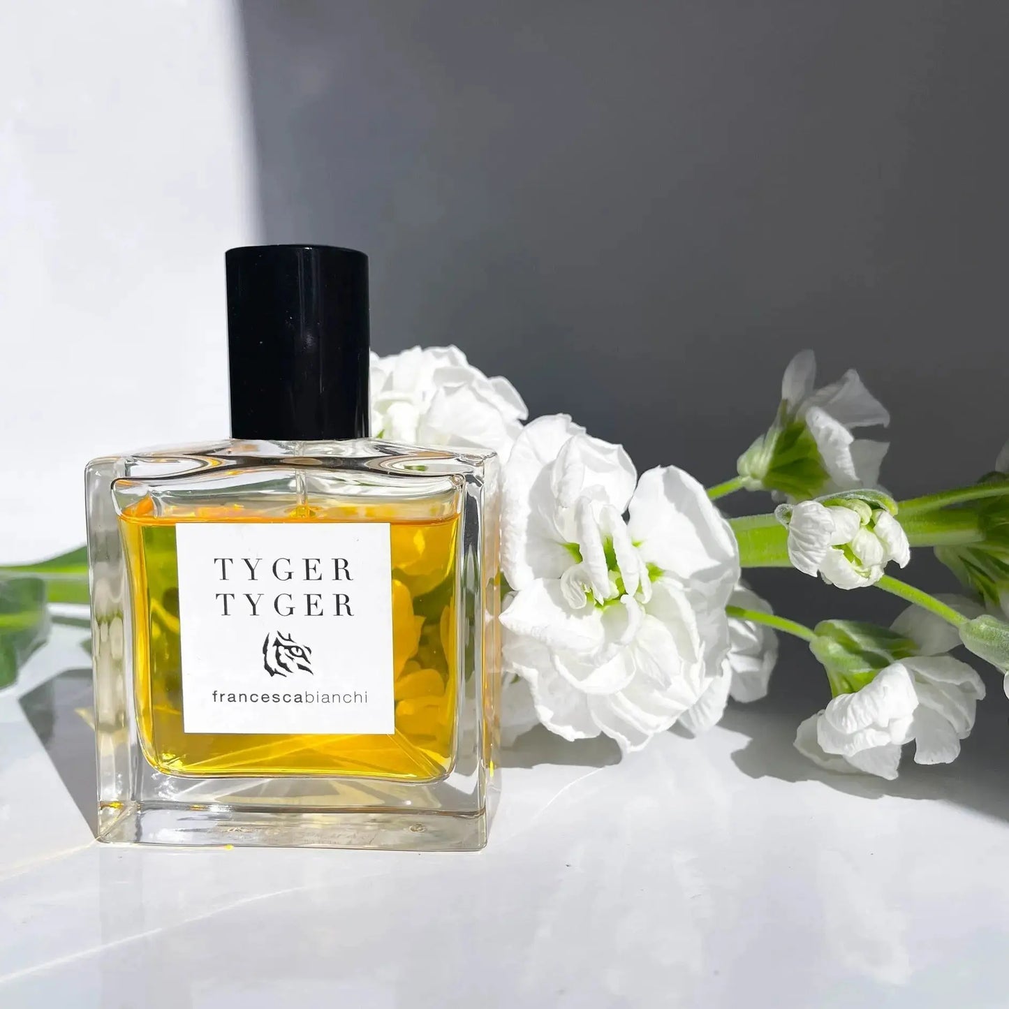 Tyger Tyger parfum unisex - Aromática CR