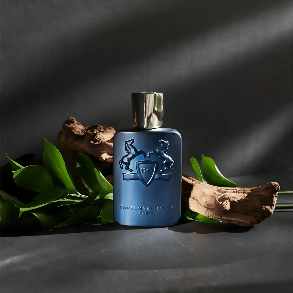 Layton EDP para hombre - Aromática CR