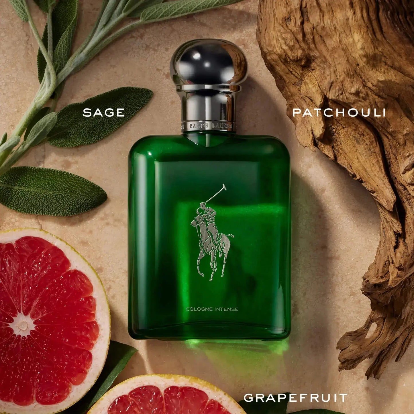 Polo Cologne Intense EDP para Hombre - Aromática CR