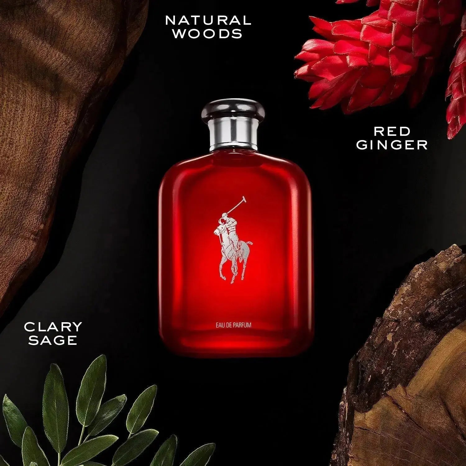 Polo Red EDP para Hombre - Aromática CR