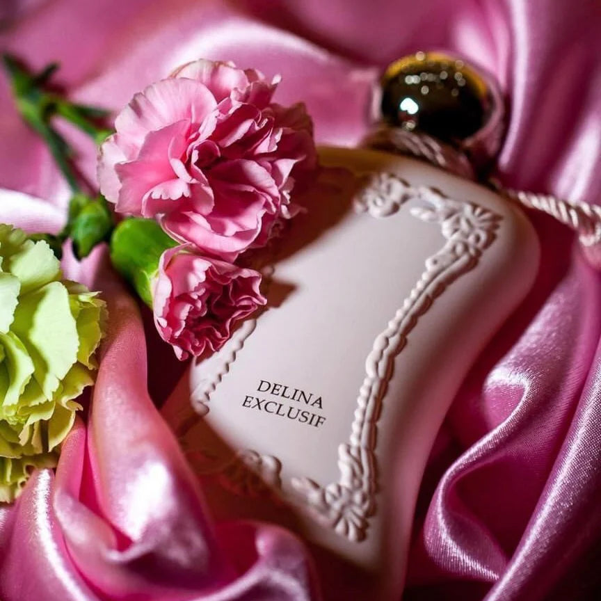 Delina Exclusif - Aromática CR