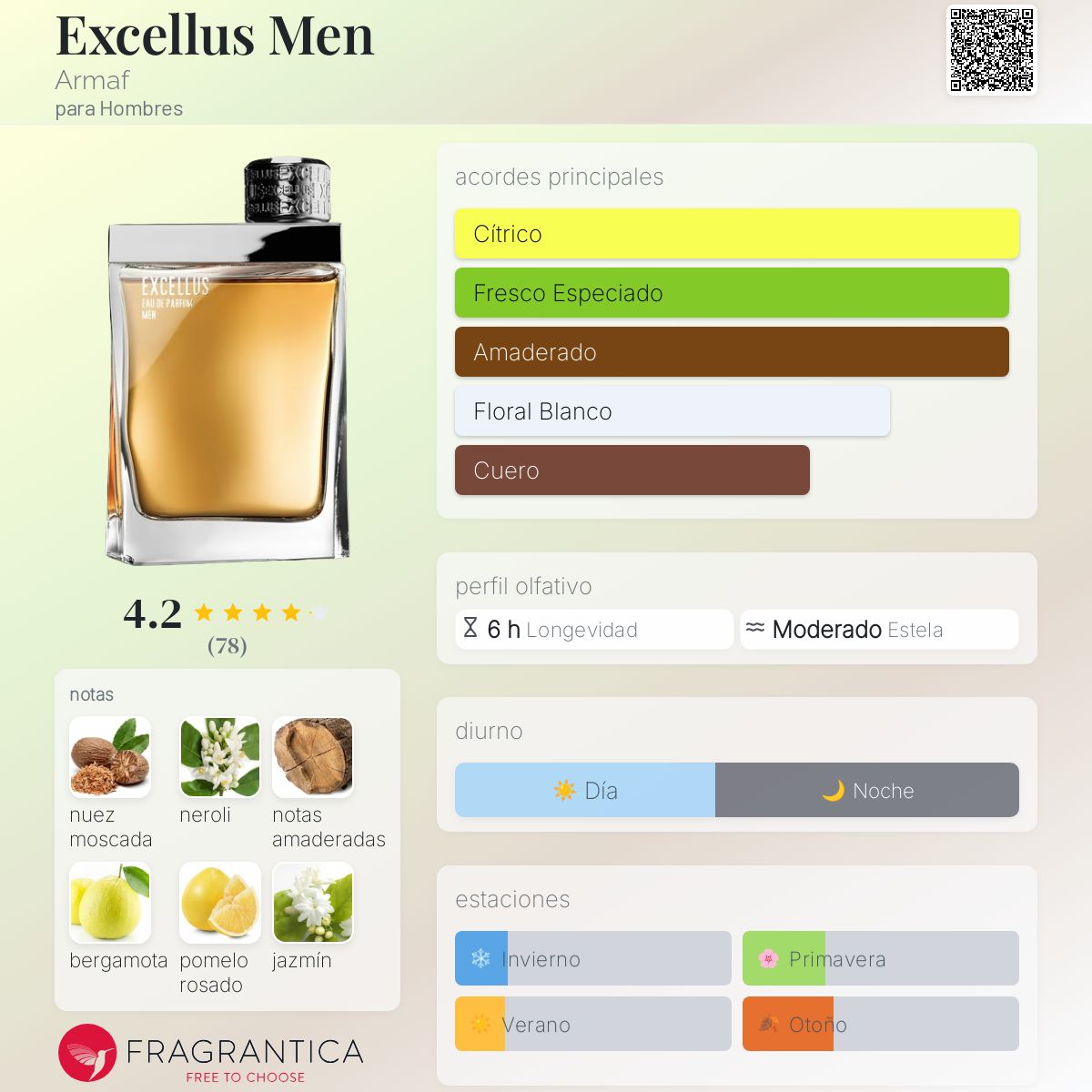 Excellus Men - Aromática CR