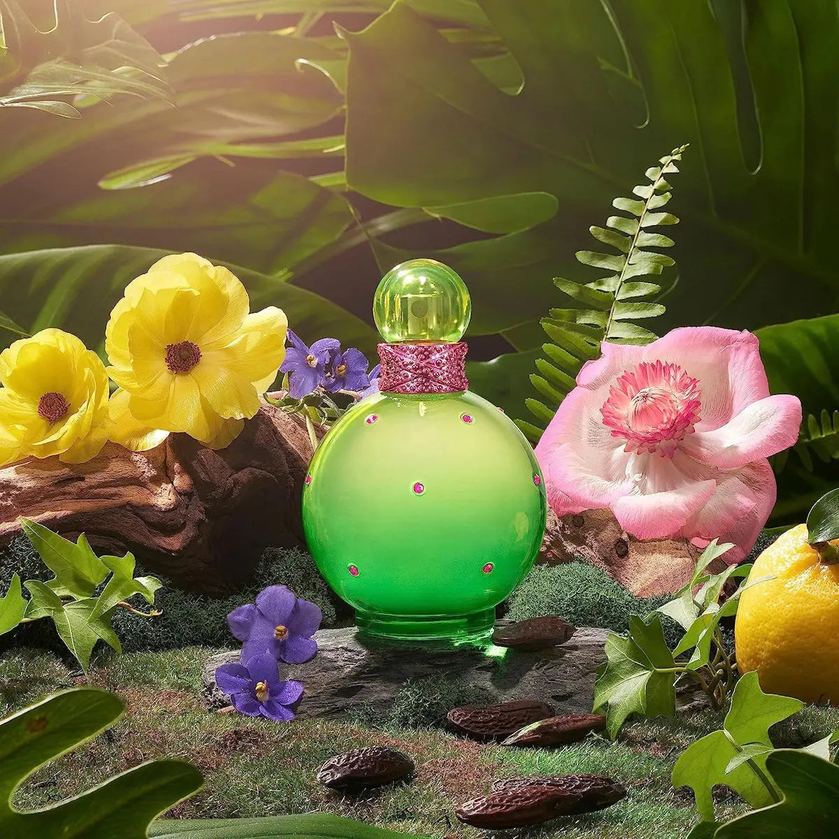 Jungle Fantasy - Aromática CR