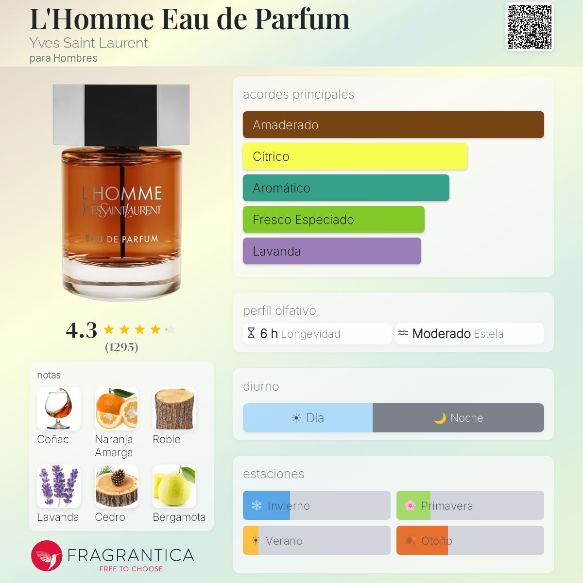 L'Homme Eau de Parfum - Aromática CR