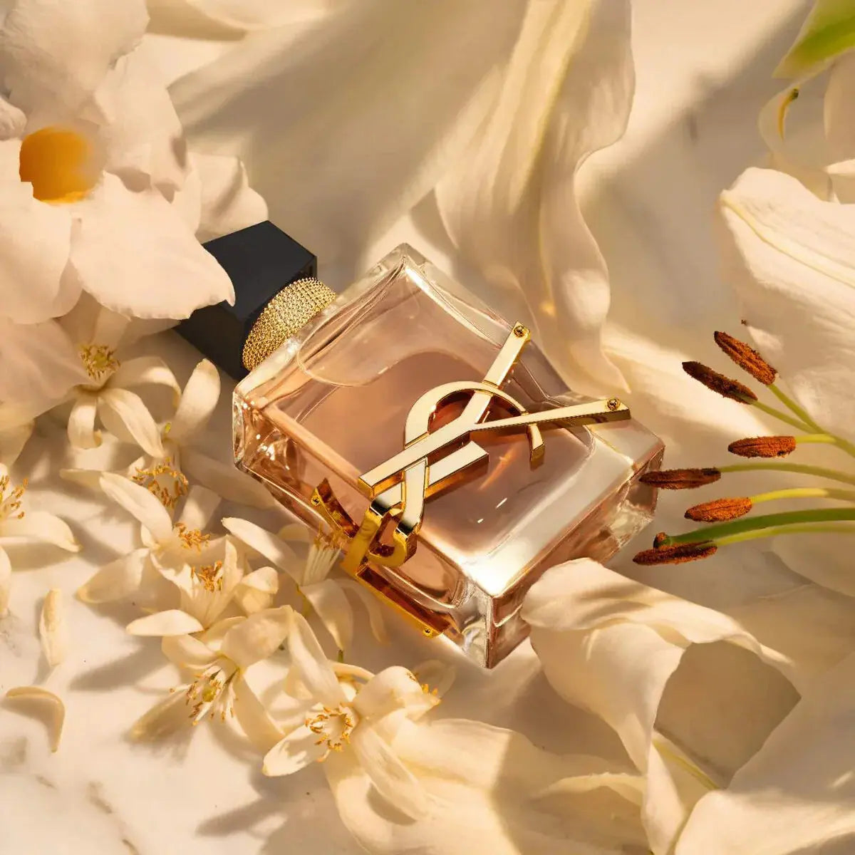 Yves Saint Laurent Libre Flowers & Flames en Costa Rica – Aromática CR