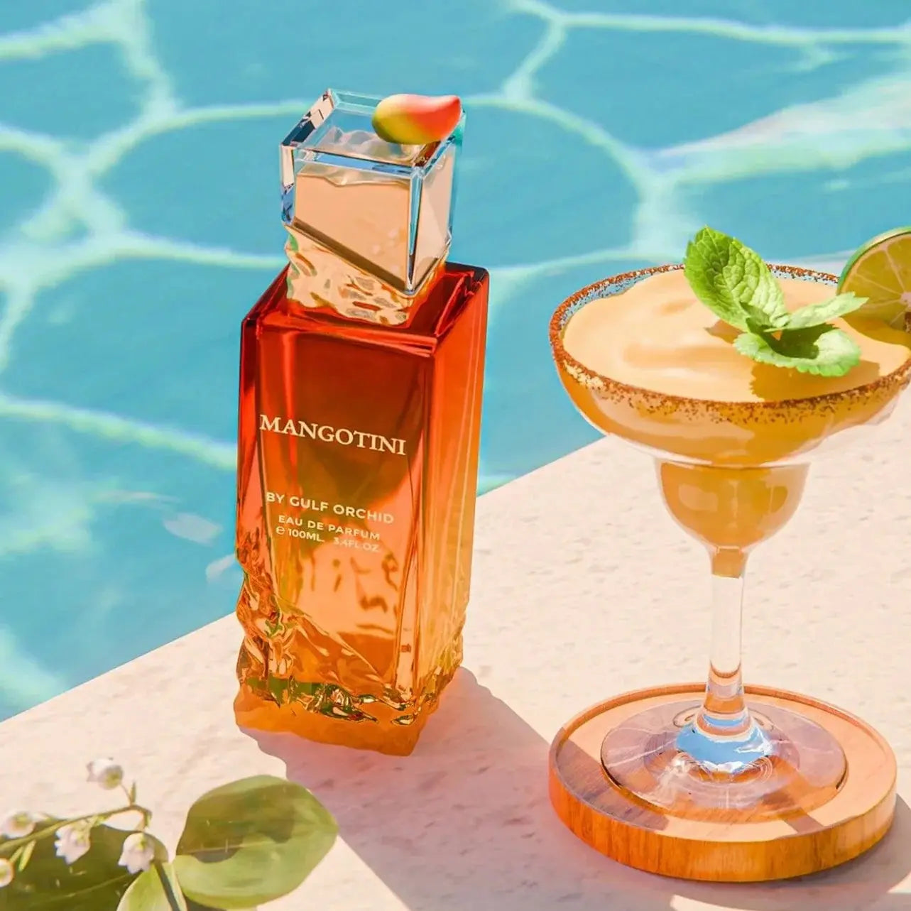 MANGOTINI - Aromática CR