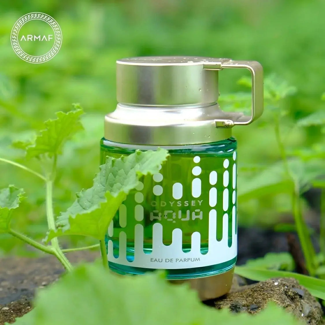 Odyssey Aqua - Aromática CR