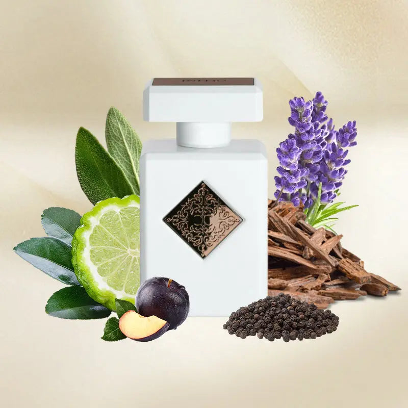 Paragon - Aromática CR