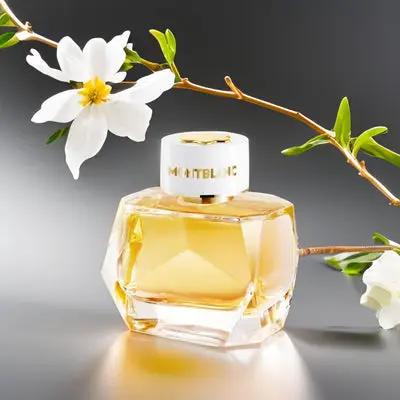 Signature Absolue - Aromática CR