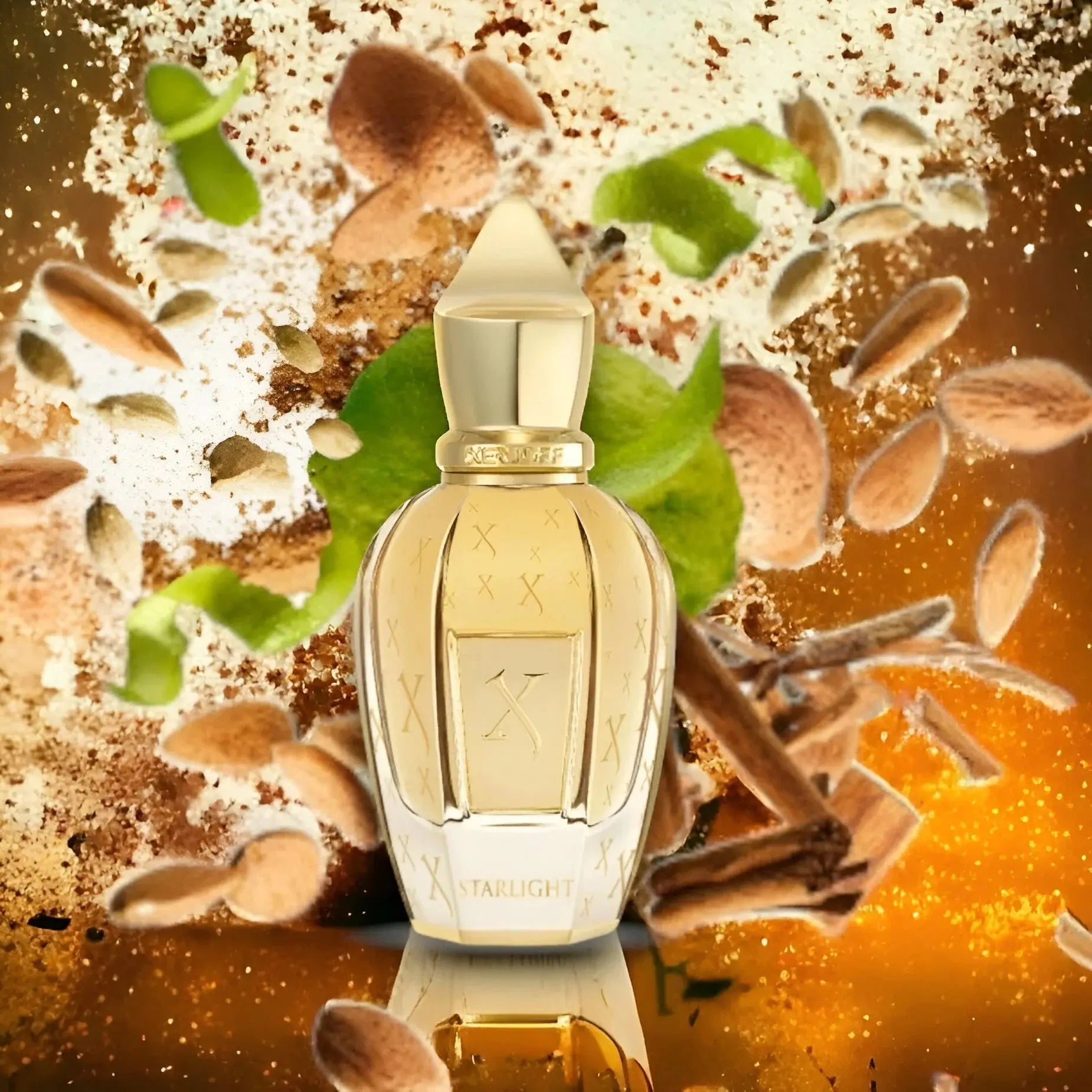 Starlight - Aromática CR