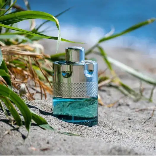 Perfumes de coníferas