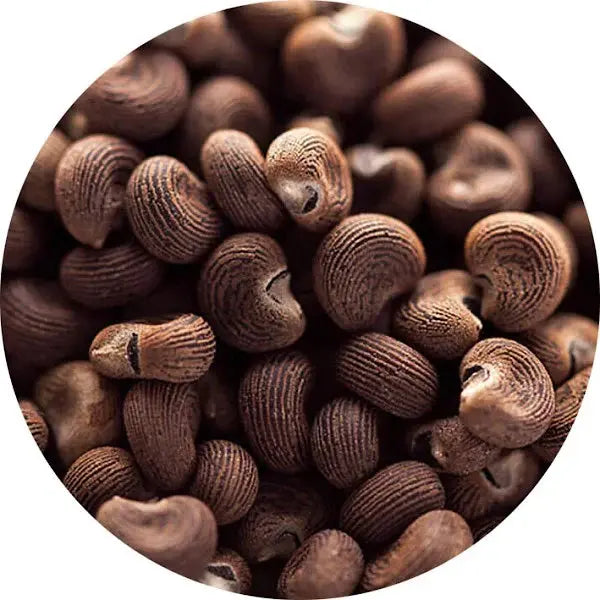 Almizcle ambreta