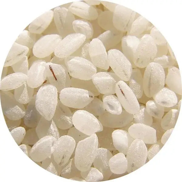 Arroz