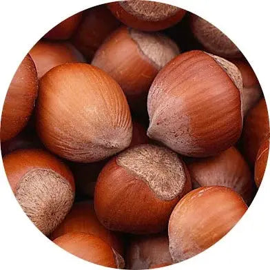 Avellana