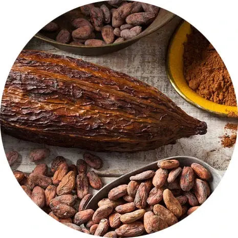 Perfumes con cacao