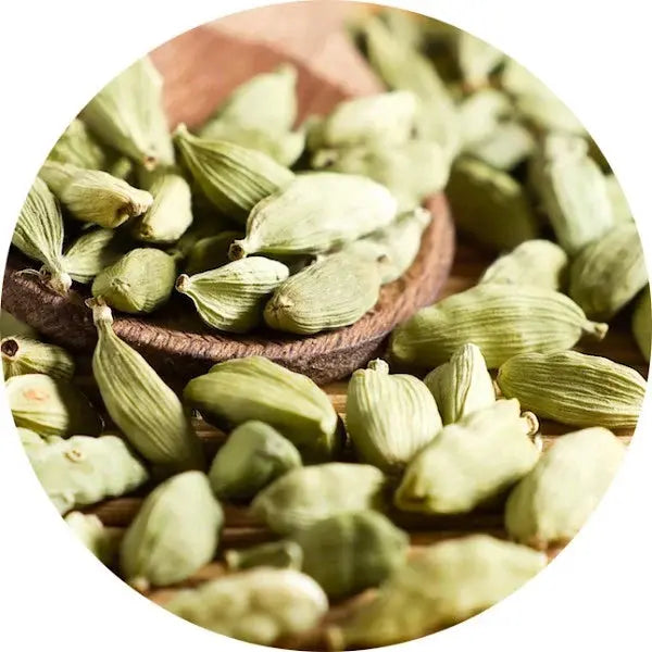 Cardamono
