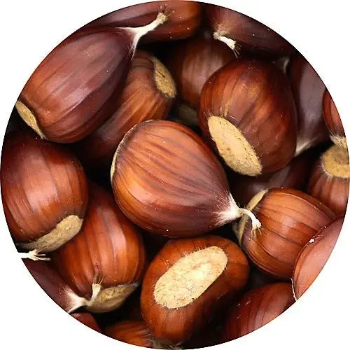 Castaña