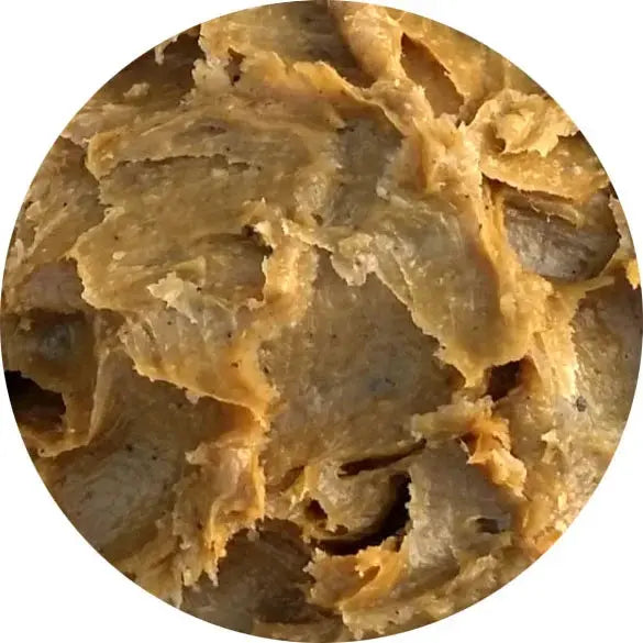 Algalia