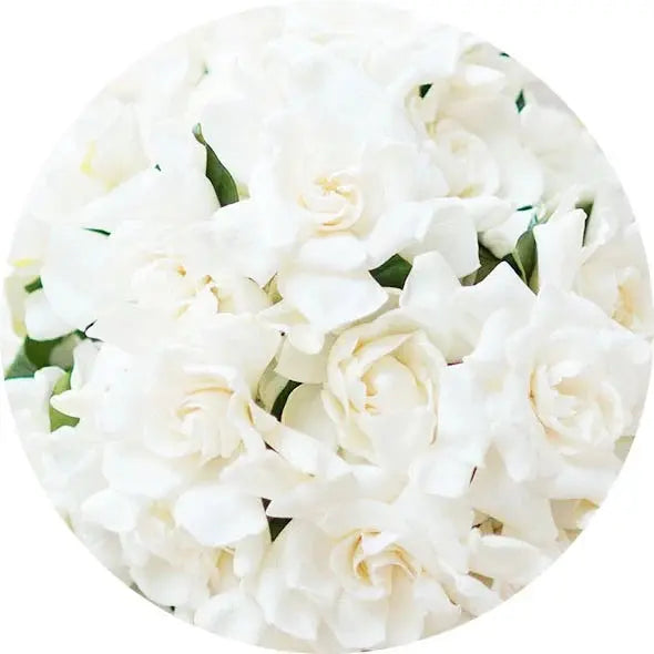 Flores blancas