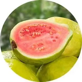 Guayaba