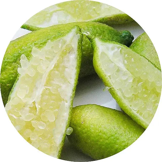 Limón Caviar