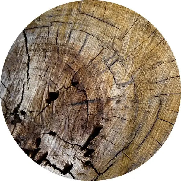 Madera seca