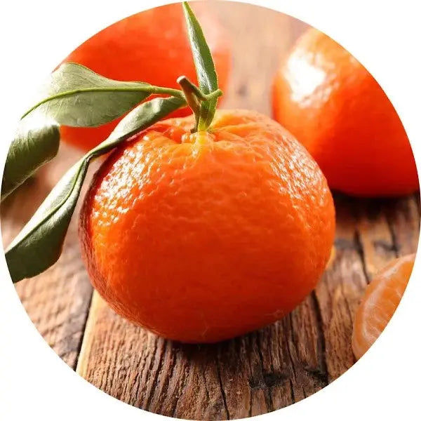 Mandarina