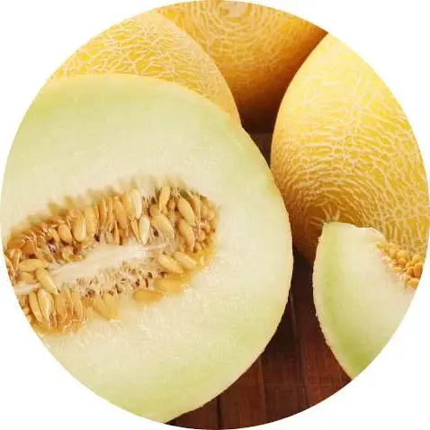 Melón
