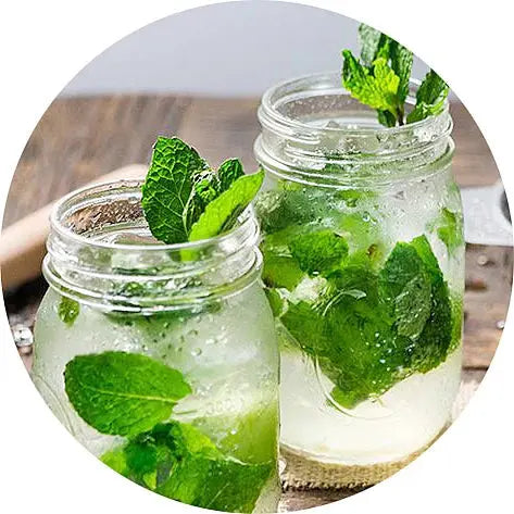 Mojito