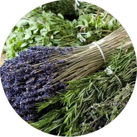 Notas aromáticas
