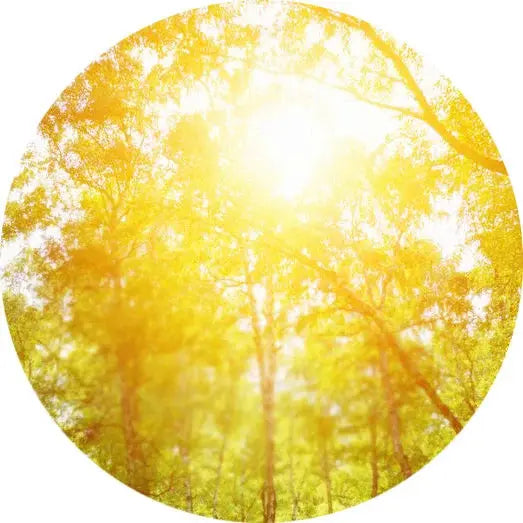 Notas solares