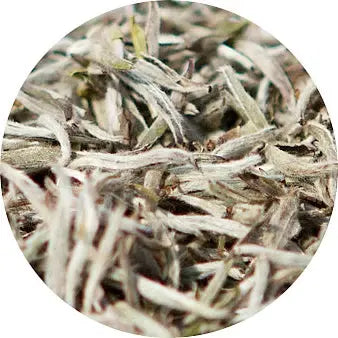 Té blanco