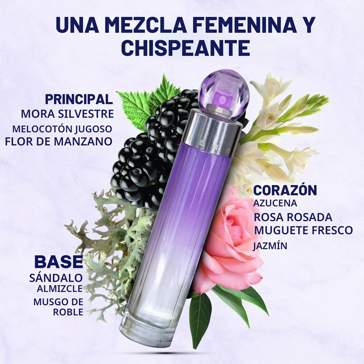 360° Purple - Aromática CR