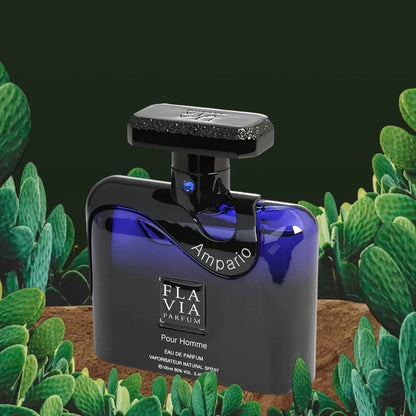 Ampario Pour Homme - Aromática CR