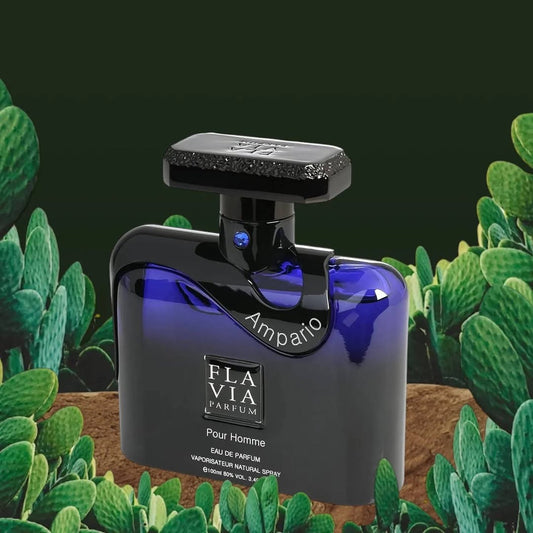 Ampario Pour Homme - Aromática CR