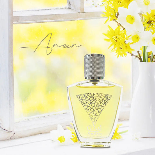 Aneen - Aromática CR