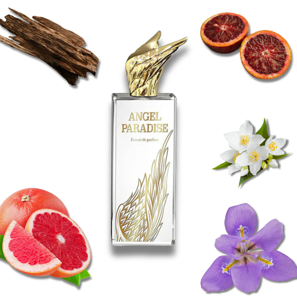 Angel Paradise - Aromática CR