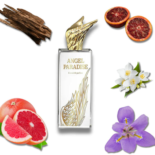 Angel Paradise - Aromática CR