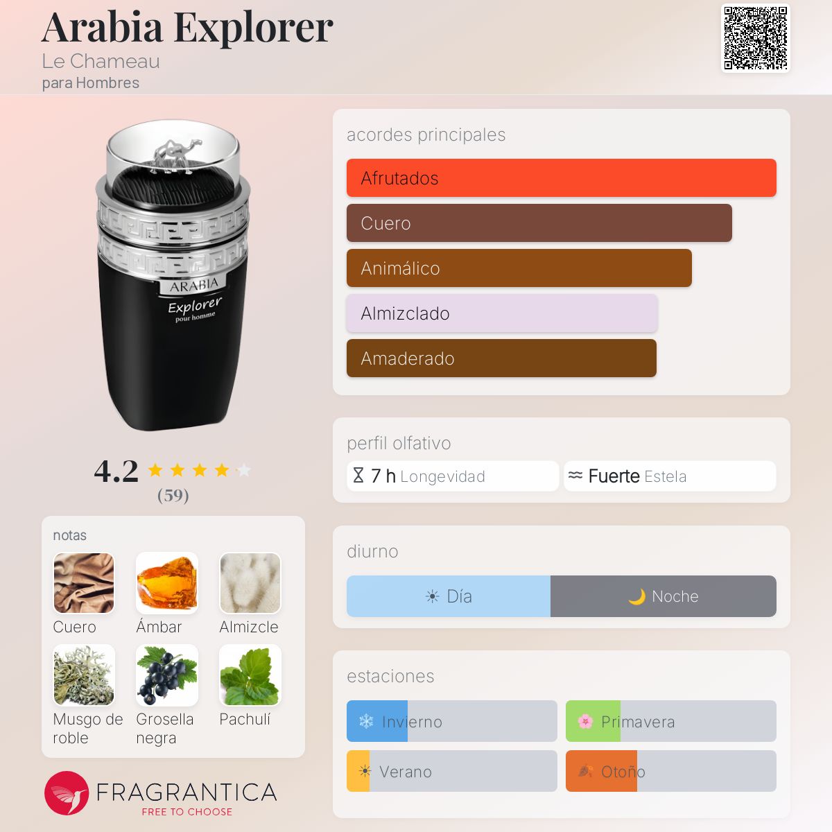 Arabia Explorer - Aromática CR