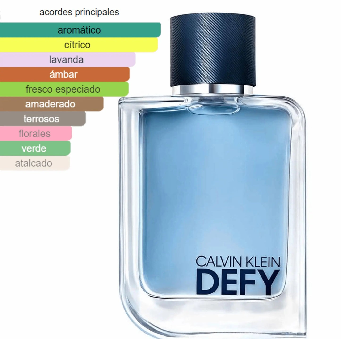 Calvin Klein DEFY EDT para hombre 100 ml - Aromática CR