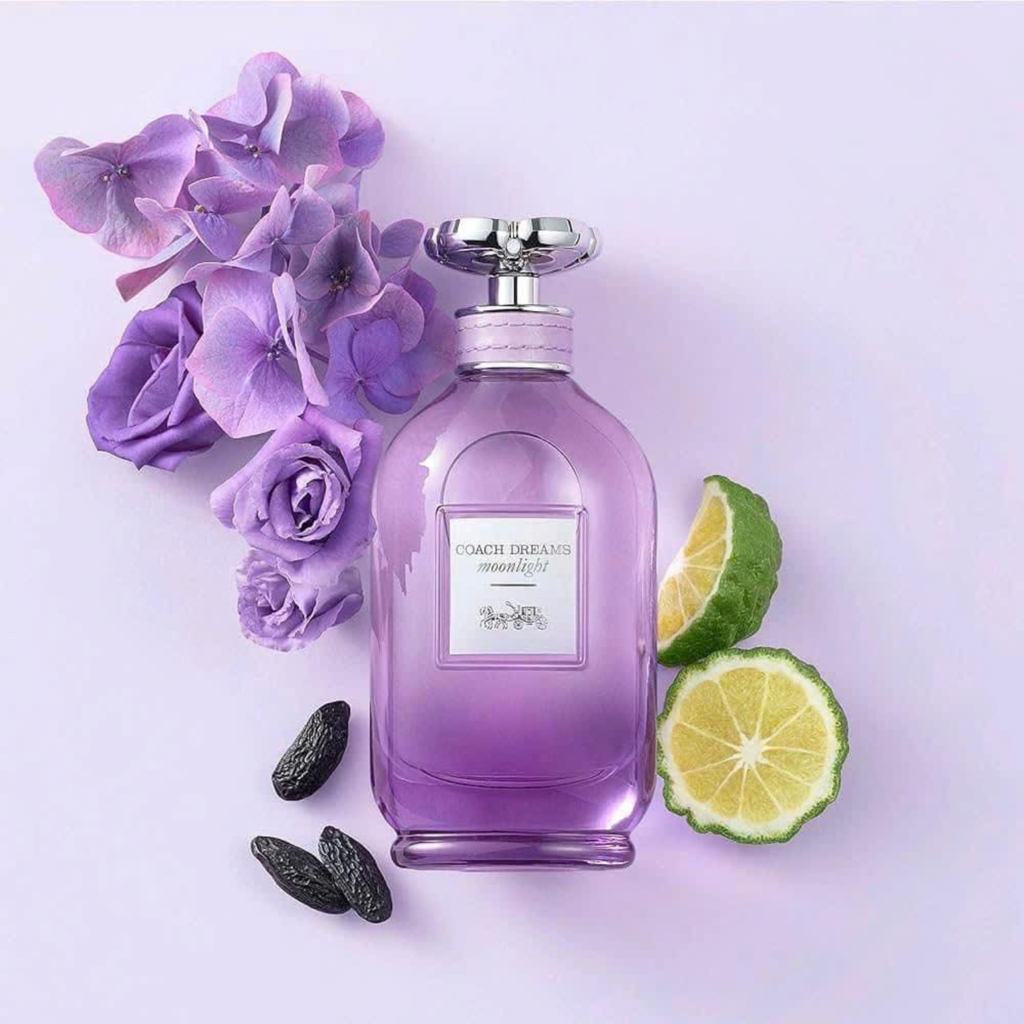 Coach Dreams Moonlight - Aromática CR