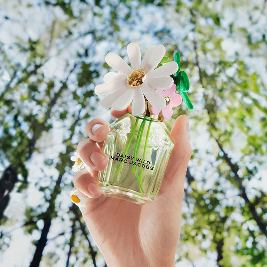 Daisy Wild - Aromática CR