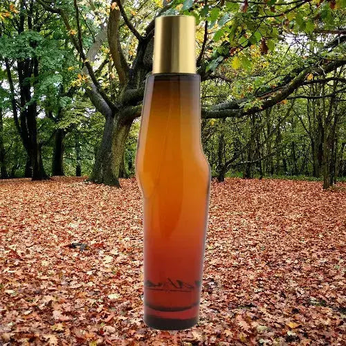 Mambo for Men EDP para Hombre - Aromática CR