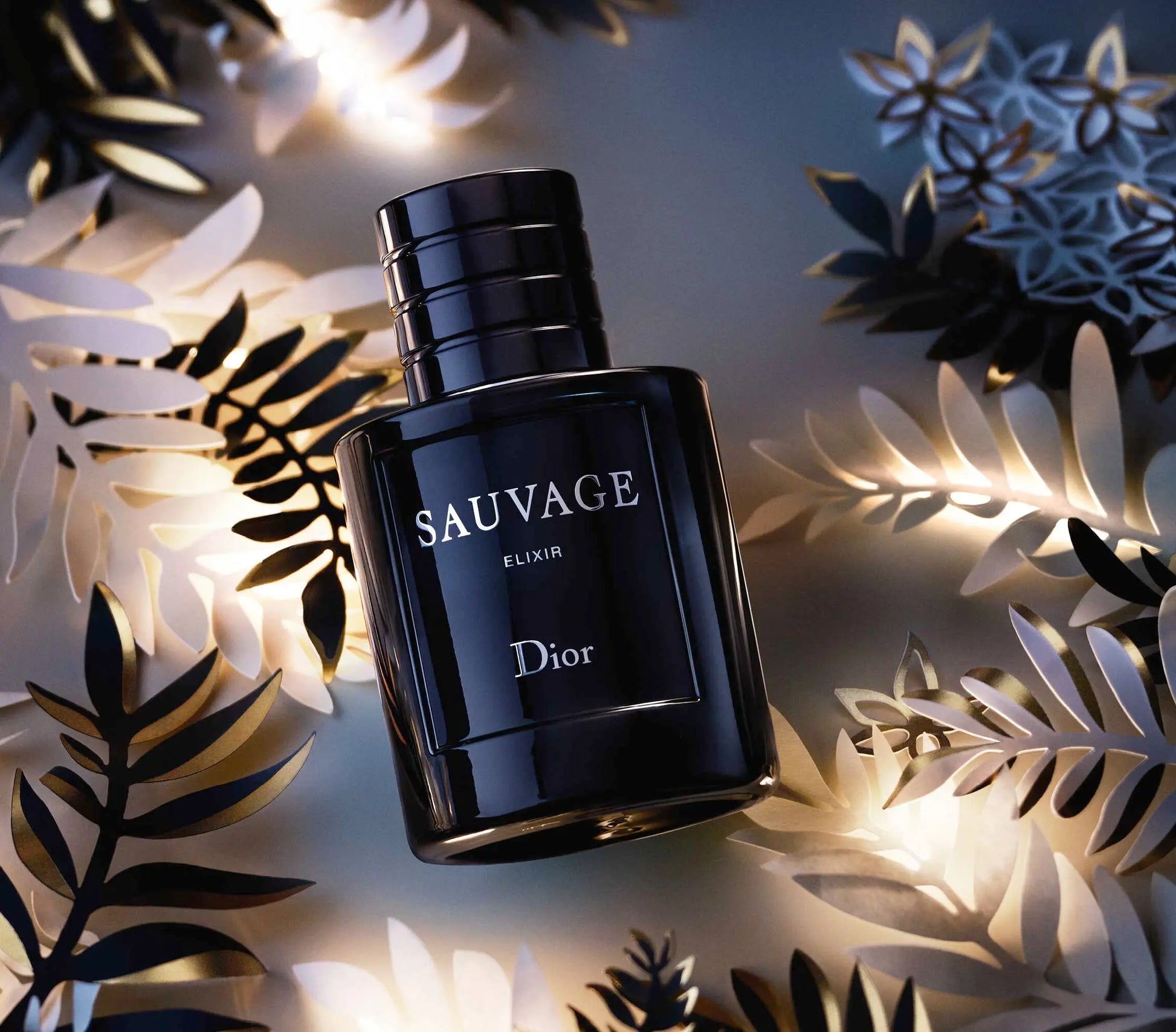 Dior Sauvage Elixir EDP para hombre - Aromática CR