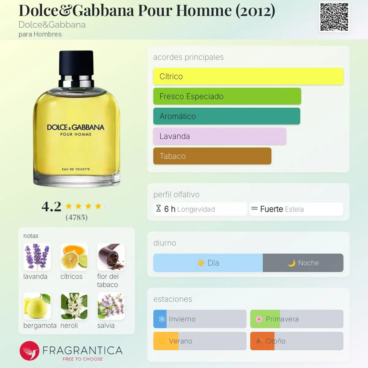 Dolce & Gabbana Pour Homme - Aromática CR
