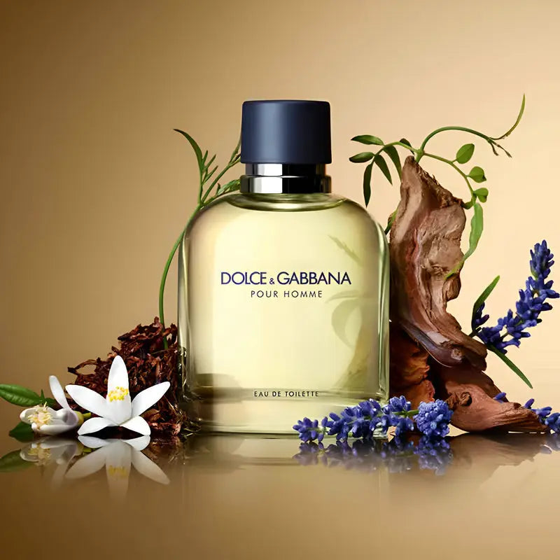 Dolce & Gabbana Pour Homme EDT para hombre - Aromática CR