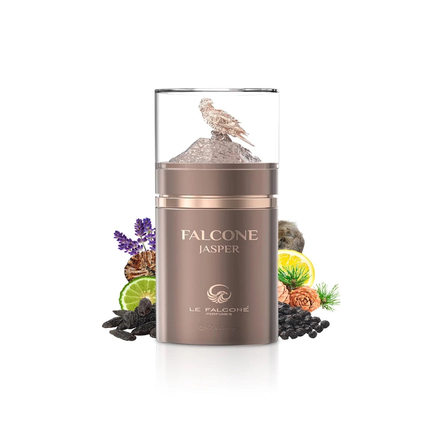 Falcone Jasper - Aromática CR