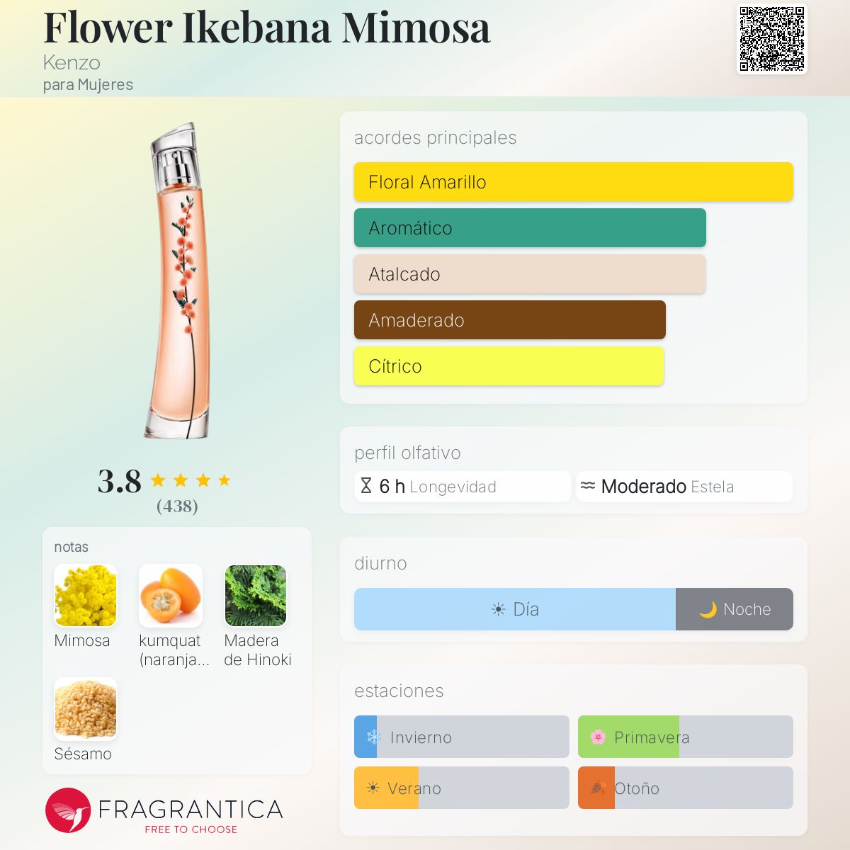 Flower Ikebana Mimosa - Aromática CR