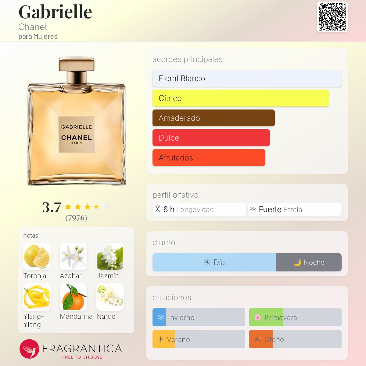 CHANEL GABRIELLE3本セット Chanel Gabrielle en Costa Rica – Aromática CR