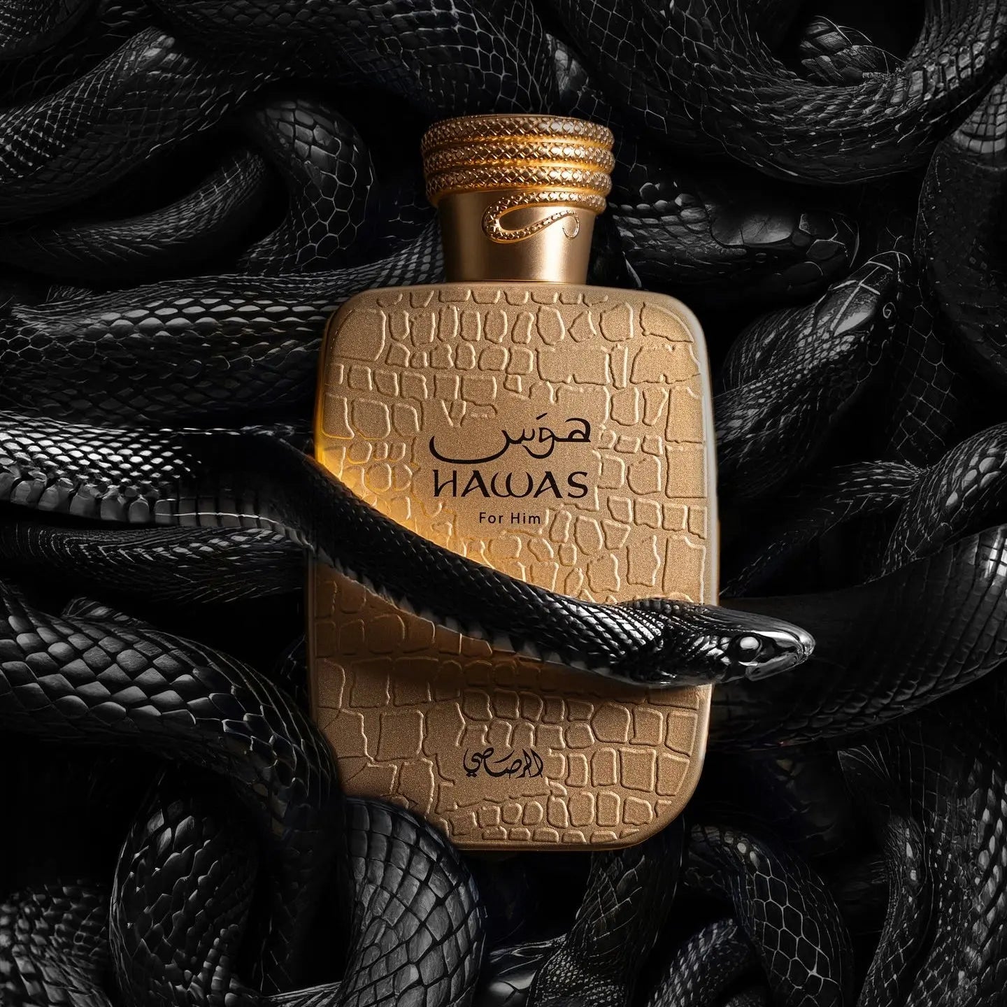 Hawas Viper - Aromática CR